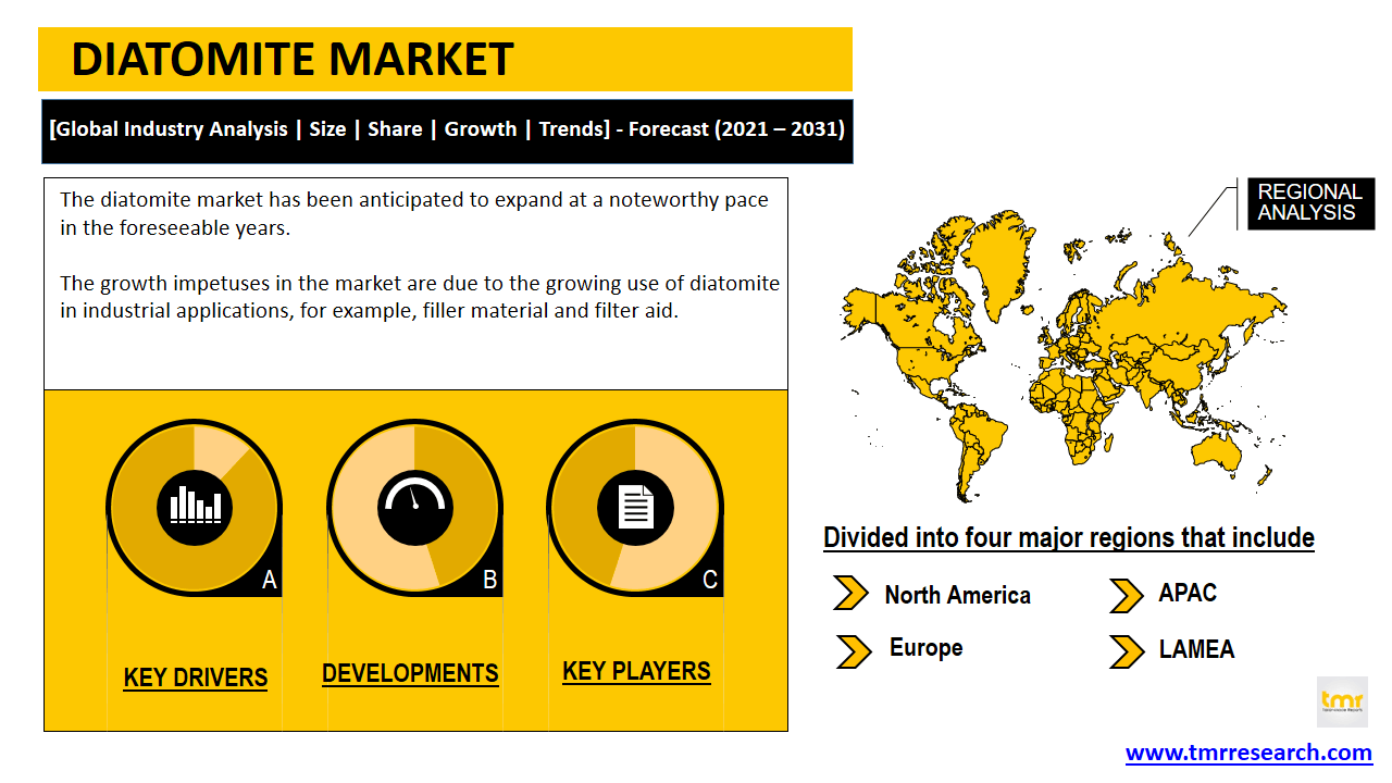 diatomite market