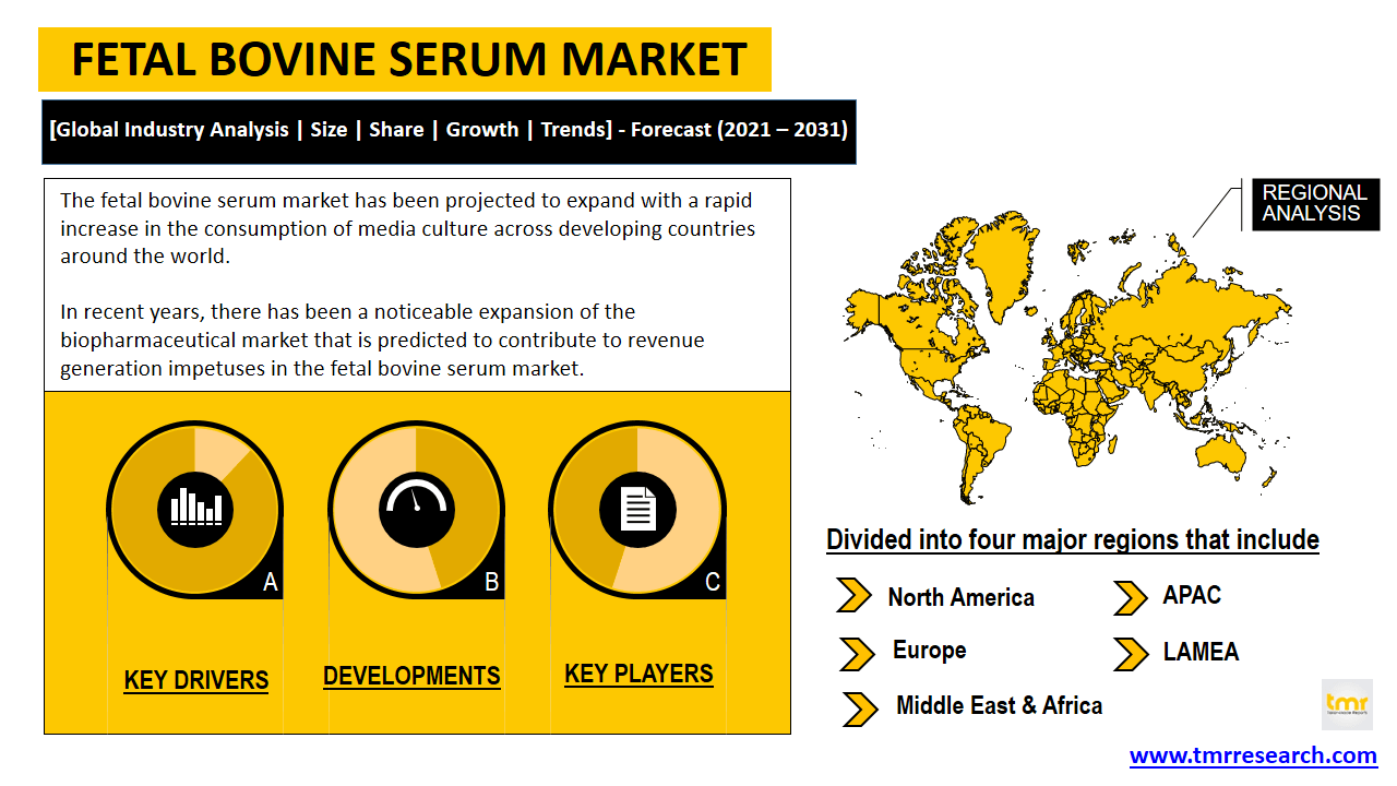 fetal bovine serum market
