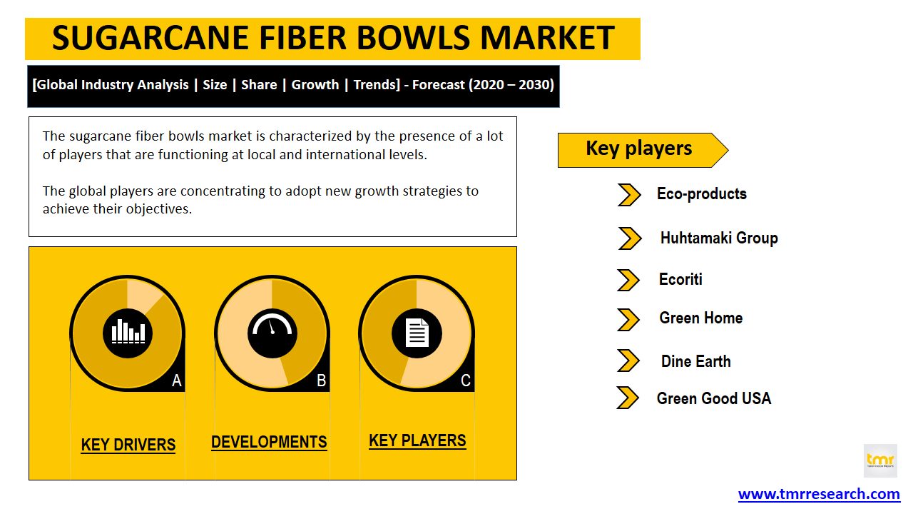 sugarcane fiber bowls market